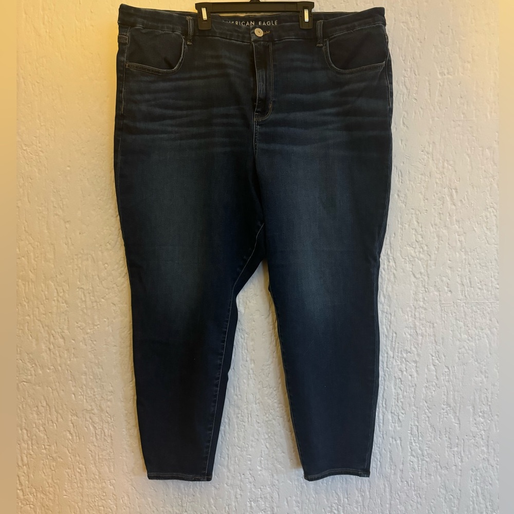 American Eagle 22 Short Dark Jean
